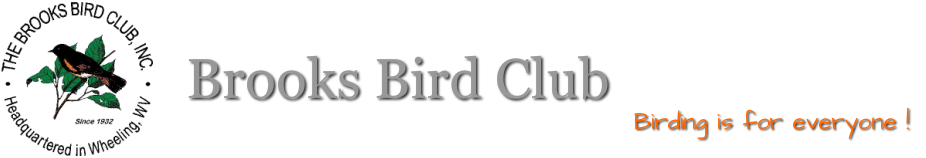 Brooks Bird Club